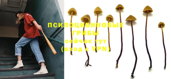 гидропоника Козельск