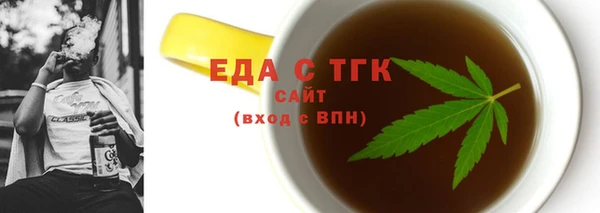 индика Киреевск