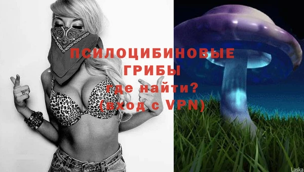 соль курить ск Коряжма