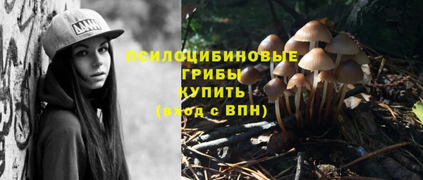 соль курить ск Коряжма